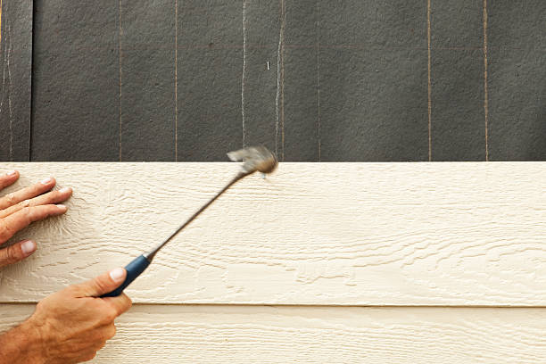 Best Steel Siding Installation  in Lavalette, WV